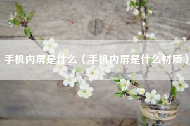 手机内屏是什么（手机内屏是什么材质）