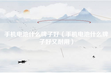 手机电池什么牌子好（手机电池什么牌子好又耐用）