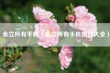 金立所有手机（金立所有手机图片大全）