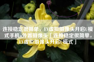 连接稳定很简单，EV虚拟摄像头开启U模式手机u外置摄像头「连接稳定很简单，EV虚拟摄像头开启U模式」