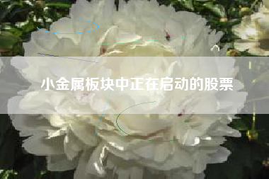 小金属板块中正在启动的股票